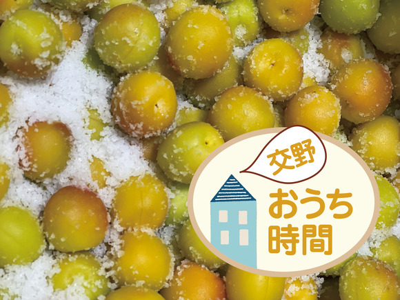 a_バナー_アートボード 1