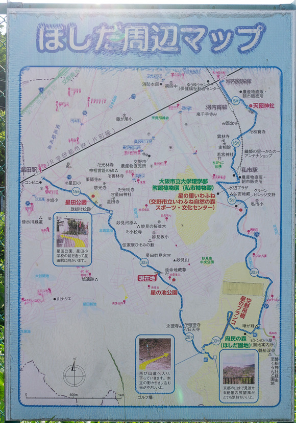 ほしだ園地 ハイキング 2024061815