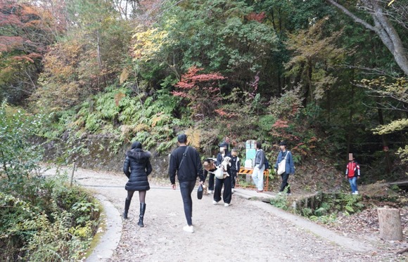 星のブランコ 20251124-7