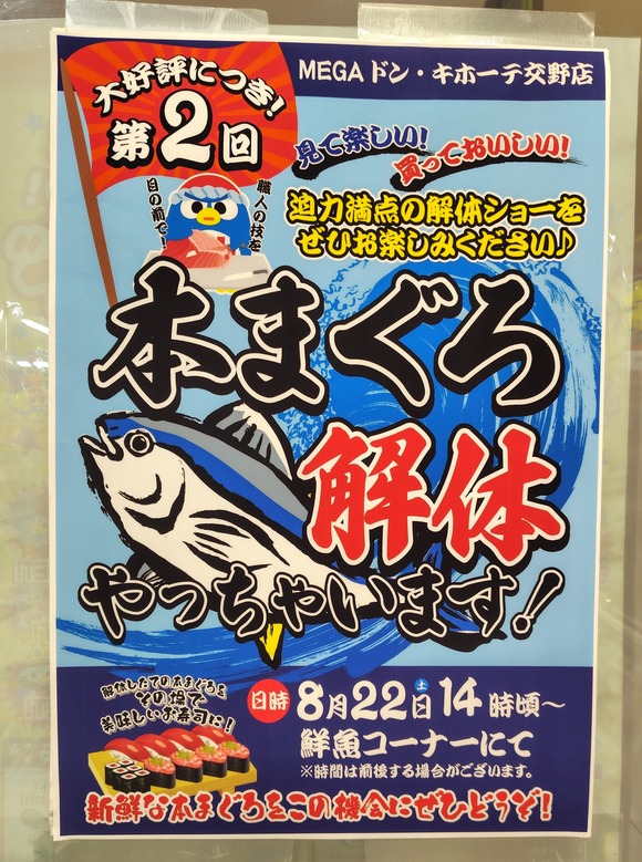メガドンキ 本まぐろ解体-2