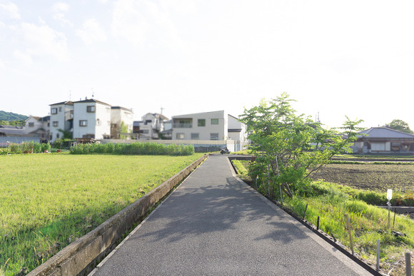 私市の田んぼ 20250508-9