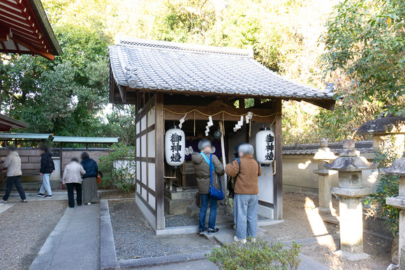 機物神社 初詣 20250101-36
