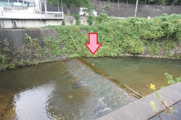 サッカーボール 20241101-2