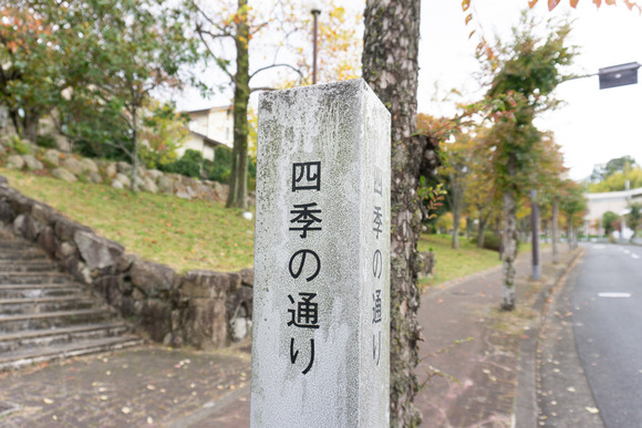 リニアパーク 紅葉 20241110-20