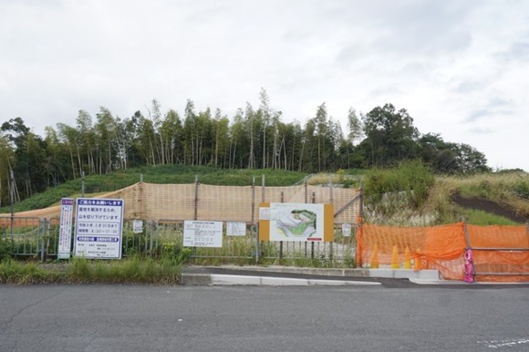 南星台 崖 20251018-1