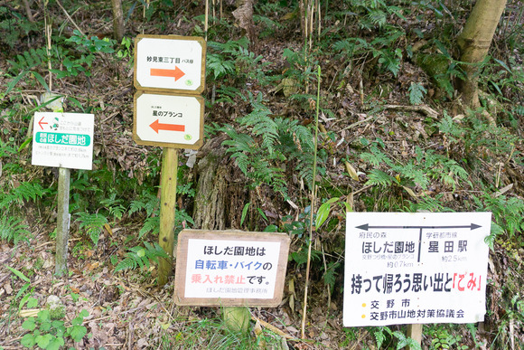 ほしだ園地 ハイキング 2024061634