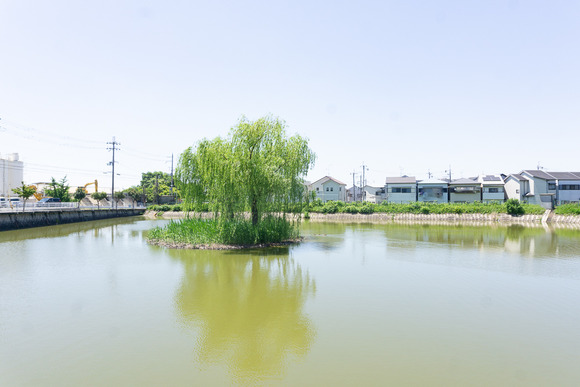 倉治の外池 202405144