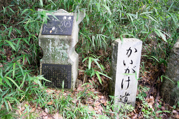 龍王山 2024062113