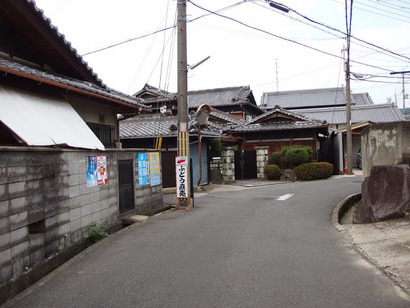65a87175-s