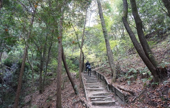 星のブランコ 20251124-8