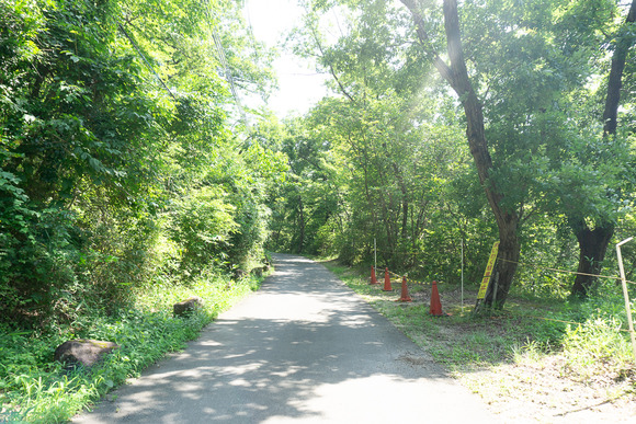 月の輪滝 20240719-5