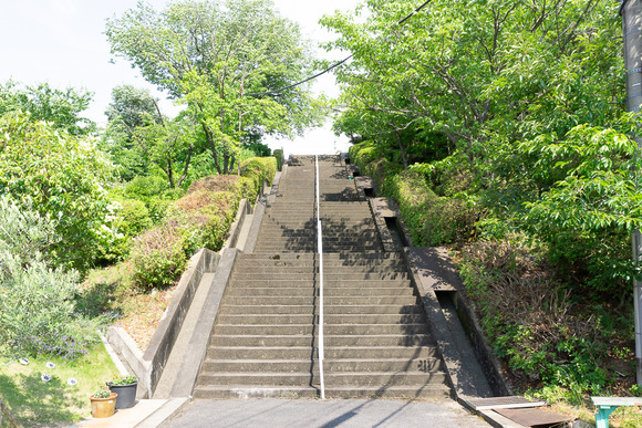 星田山手の階段 202406119