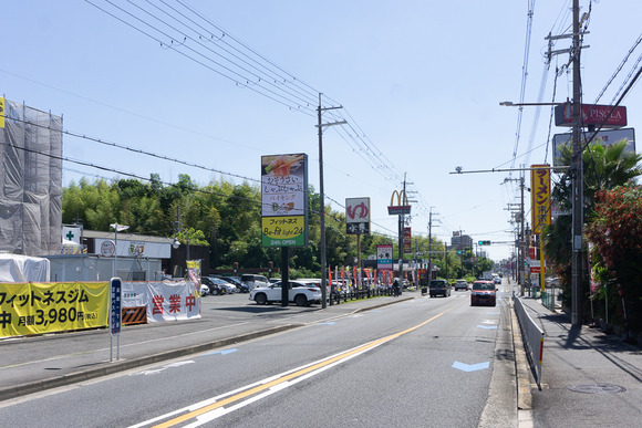 バイキングPocaPoca 202405144