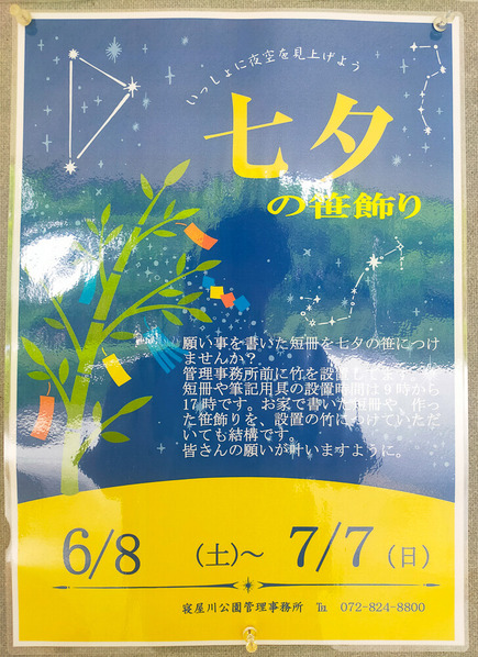 寝屋川公園 七夕 20240625-14