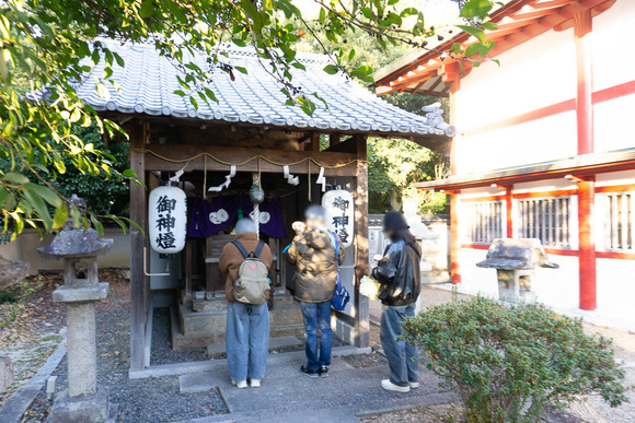 機物神社 初詣 20250101-36