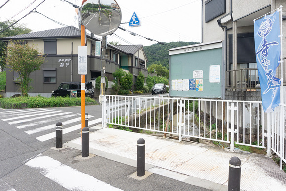 寺の水路 20240819-6