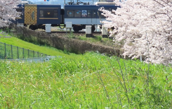 284017110_406395011368702_5365523287391665877_n