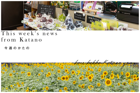 今週のかたの2023