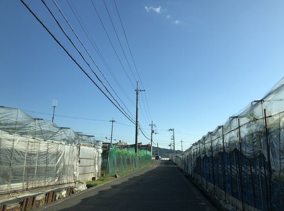 スクリーンショット 2023-06-19 0.58.31