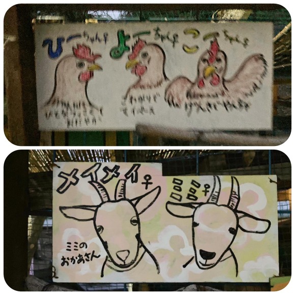 277111177_542560157193011_4885711643875554257_n