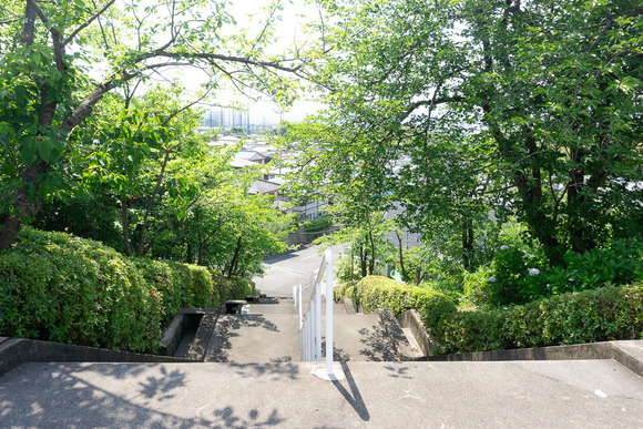 星田山手の階段 202406116