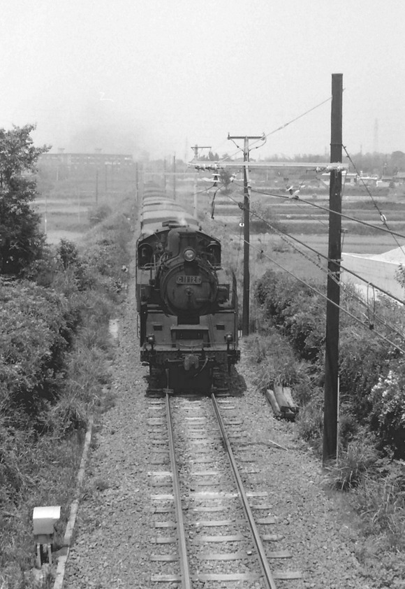 274607857_1322009254963310_8217463720720999537_n