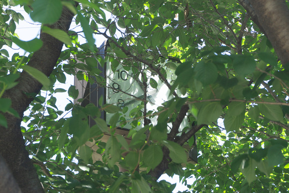 梅が枝の時計 202405144