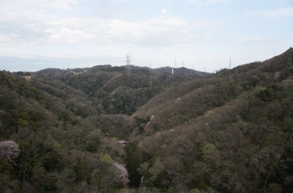 ほしだ園地 2024040952