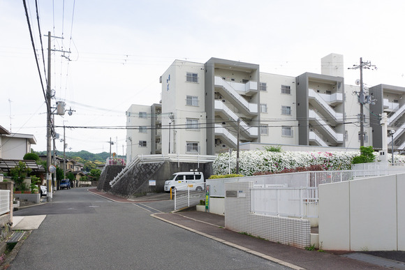妙見坂のツツジ 2024042811