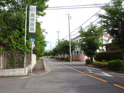 P5243698