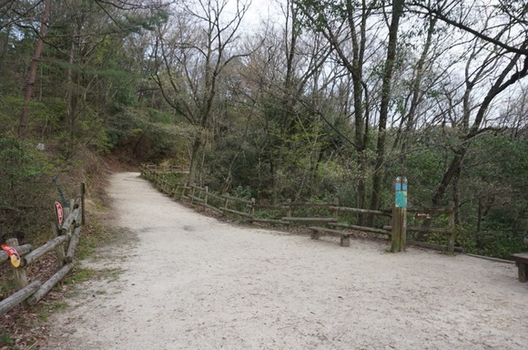 ほしだ園地 2024040935