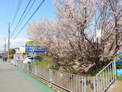 P3219145