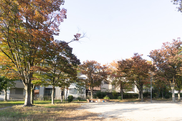 松塚公園 20241114-31