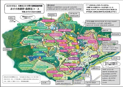 13558936_1237288102956695_7435694794576762758_o