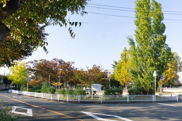 松塚公園 20241114-22