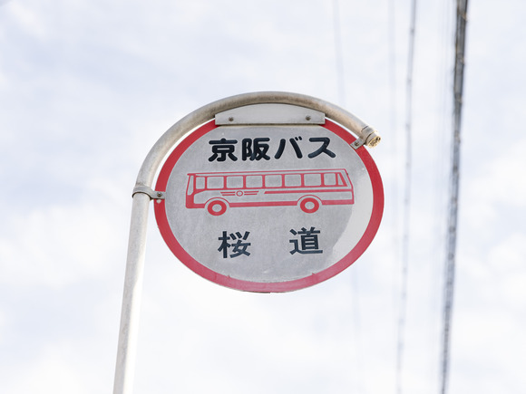 倉治にあるバス停「桜道」はなぜ「桜道」なのか？