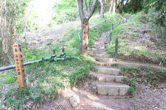 交野山 20250503-20