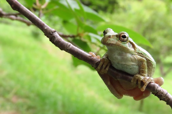 LINE_ALBUM_220616_43