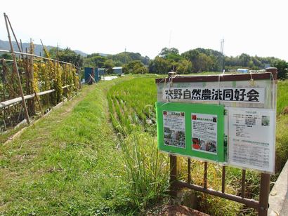 PA270450