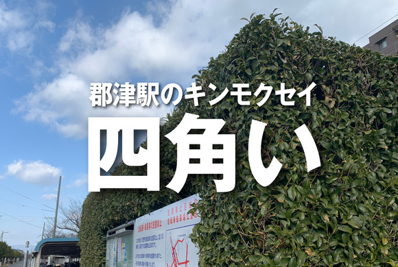 a_バナー 02_アートボード 1