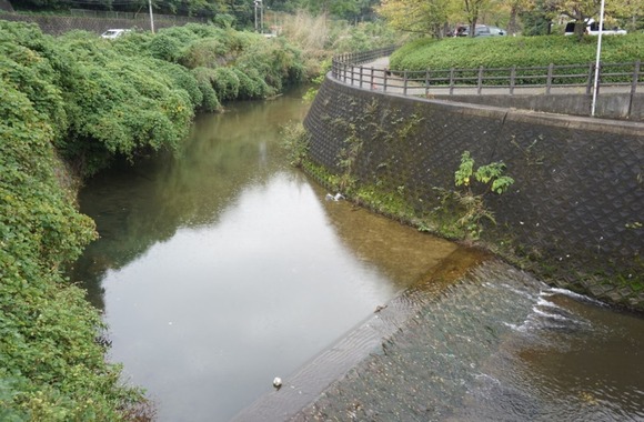 サッカーボール 20241101-4