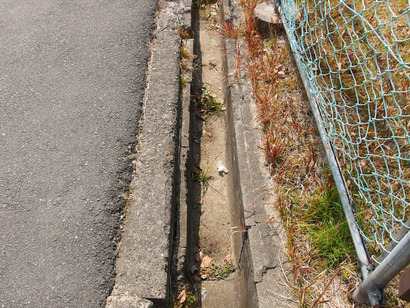 P3098850