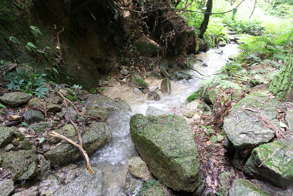 磐船神社近くの滝 2024070310