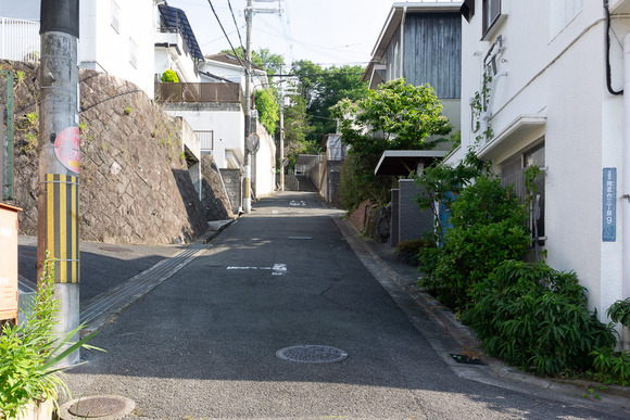 南星台 井戸 202406165