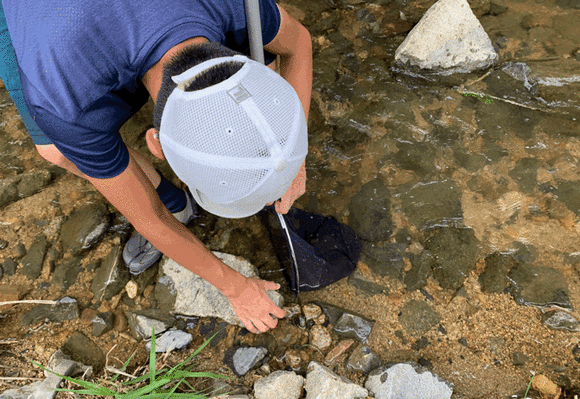 IMB_RPrib3のコピー