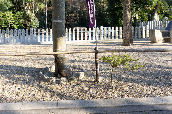 星田妙見宮 20250226-13