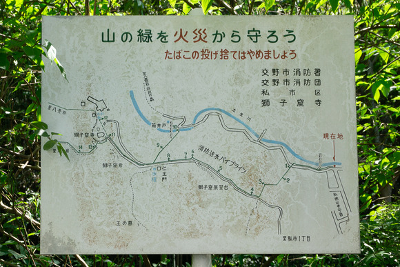 私市の用水路 2024052121