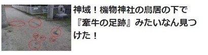 機物神社記事一覧