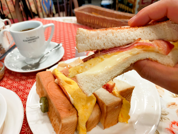 カモミール 2024053017