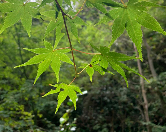 LINE_ALBUM_211023_40